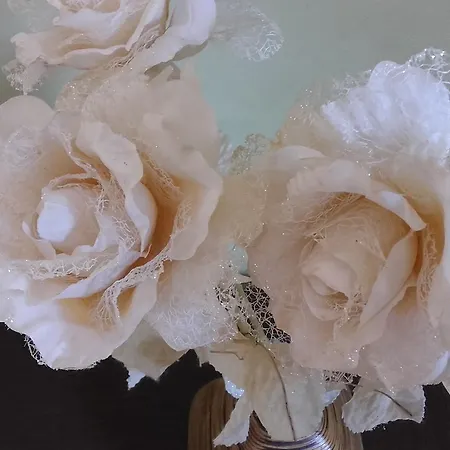 Modus Vivendi Casa de Férias