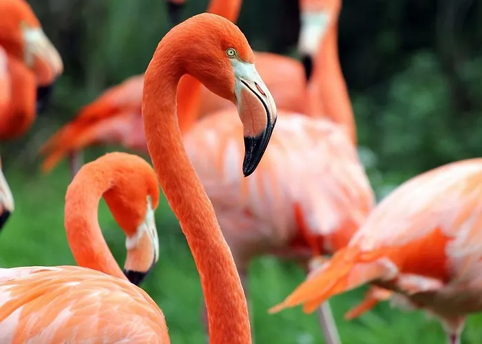 Holiday home Modus Vivendi *