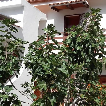 Casa de Férias Modus Vivendi *